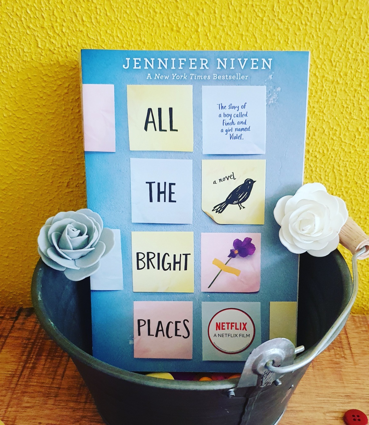 All the Bright Places Review